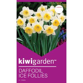 Kiwi Garden Daffodil Ice Follies 5 bulbs