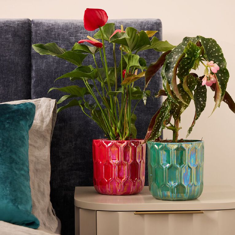 Northcote Pottery Leon Lustre Egg Pot Green 15cm, , hi-res