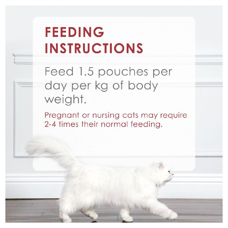 Fancy Feast Inspirations Beef & Tuna 12x70g MP, , hi-res