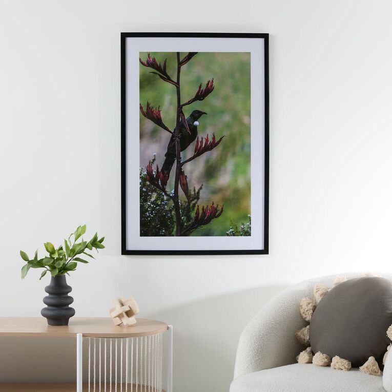 Living & Co Tui Framed Print 60cm x 90cm 60cm x 90cm, , hi-res