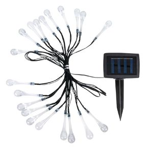 Kiwi Garden Rain Drop String Light 4.9m