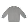 Grey Light ASH
