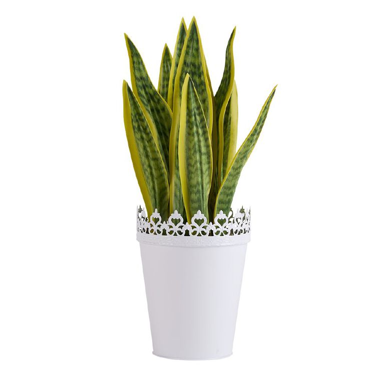 Living & Co Artificial Snake Plant in Metal Lace Pot, , hi-res