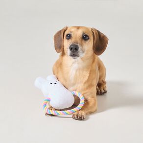 Party Inc Easter Rope Dog Toy