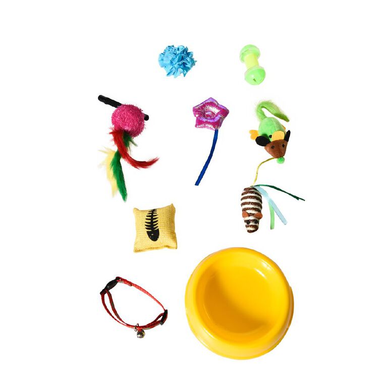 Petzone Kitten Starter Pack Multi-Coloured, , hi-res