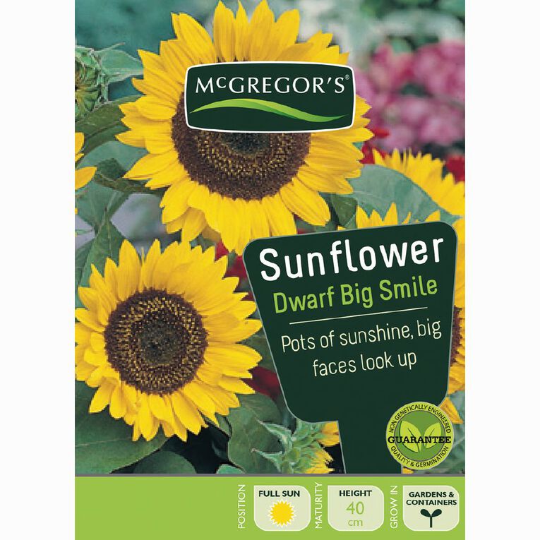 McGregor's Sunflower Big Smile Flower Seeds, , hi-res