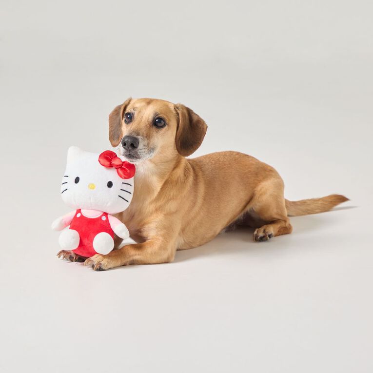 Hello Kitty Plush Toy
