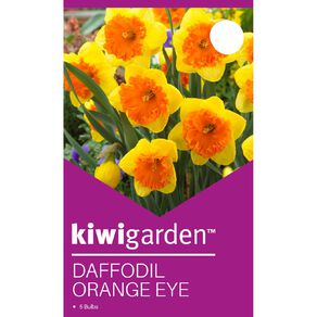 Kiwi Garden Daffodil Orange Eye 5 Pack