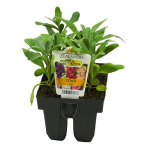 Growflora Stock Mix