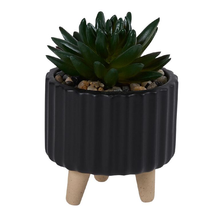 Living & Co Artificial Succulent in Footed Pot, , hi-res
