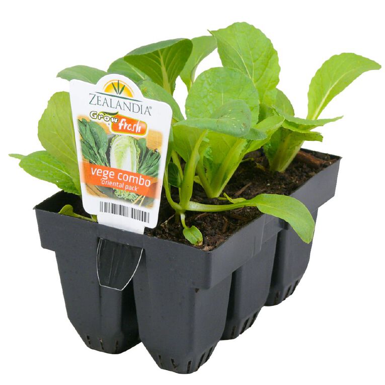 Growfresh Vege Combo Oriental, , hi-res