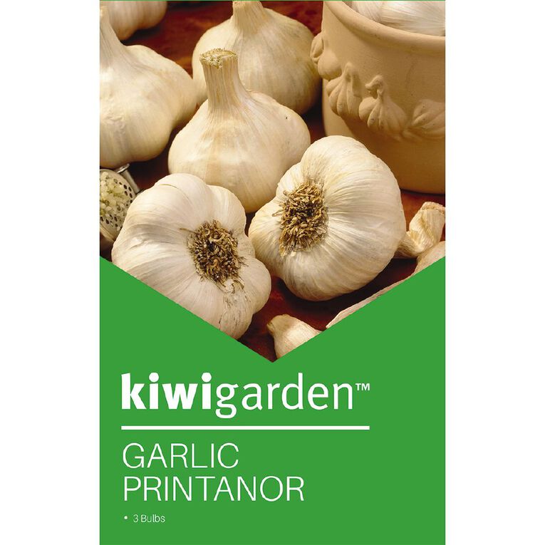 Kiwi Garden Seed Garlic Printanor 3 Pack, , hi-res