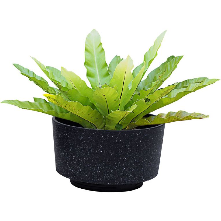 Kiwi Garden 2 in 1 Planter 36cm x 42cm Black, , hi-res