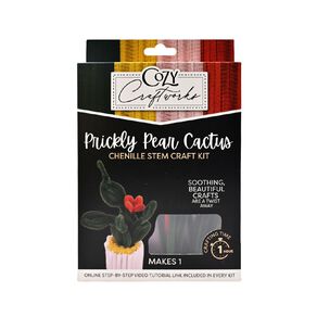 Uniti Adults Chenille Stem Prickly Pear