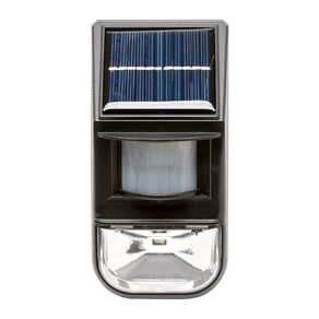 Kiwi Garden Solar Sensor Wall Light 50 Lumens