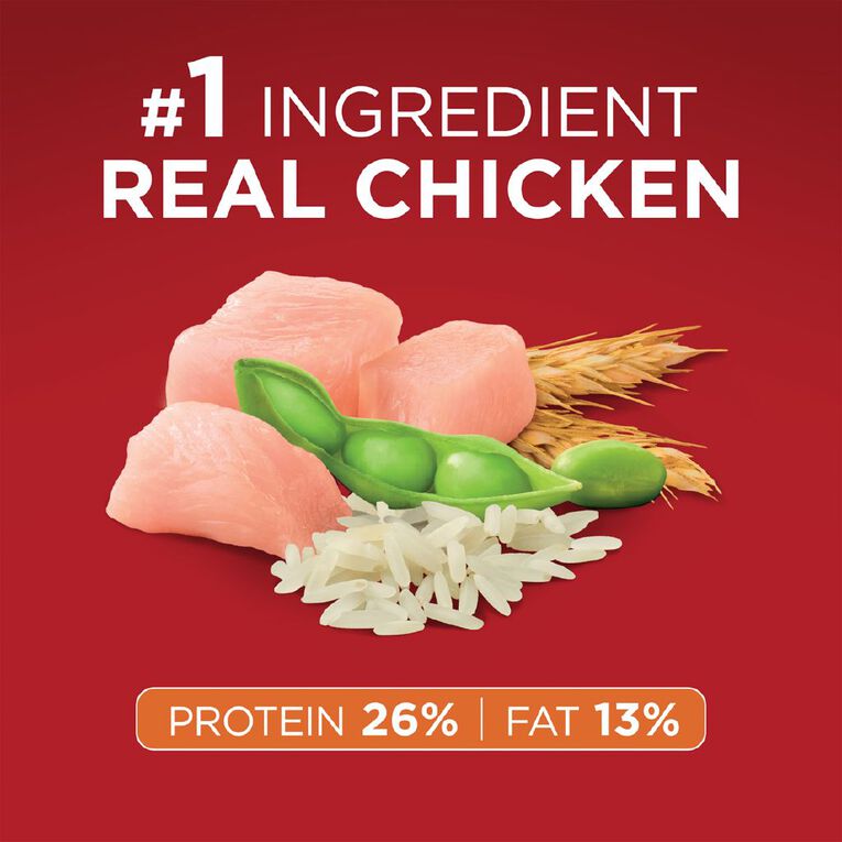 PURINA ONE Adult Chicken & Rice Dry Dog Food 6kg, , hi-res