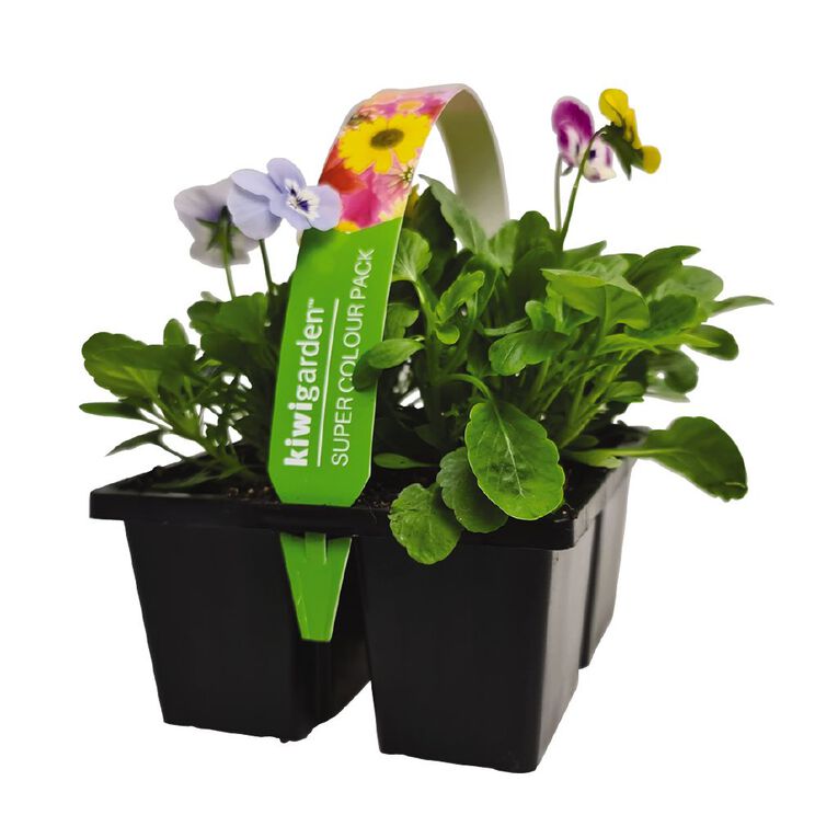 Super Colour 4 Pack, , hi-res