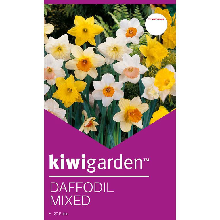 Kiwi Garden Daffodil Mixed 20 bulbs, , hi-res
