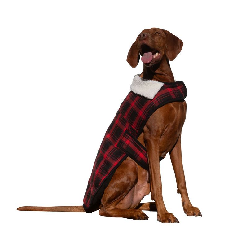 Petzone Check Jacket Red XL, , hi-res