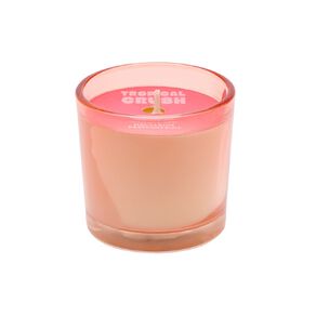 Living & Co Tropical Crush Mini Scented Candle Nectarine Passionfruit