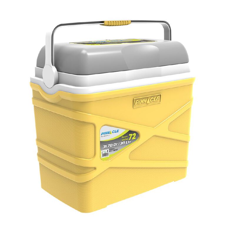 Pinnacle Pasco 30L Chilly Bin, , hi-res