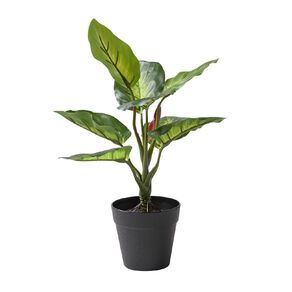 Living & Co Artificial Tropical Plant in Plastic Pot