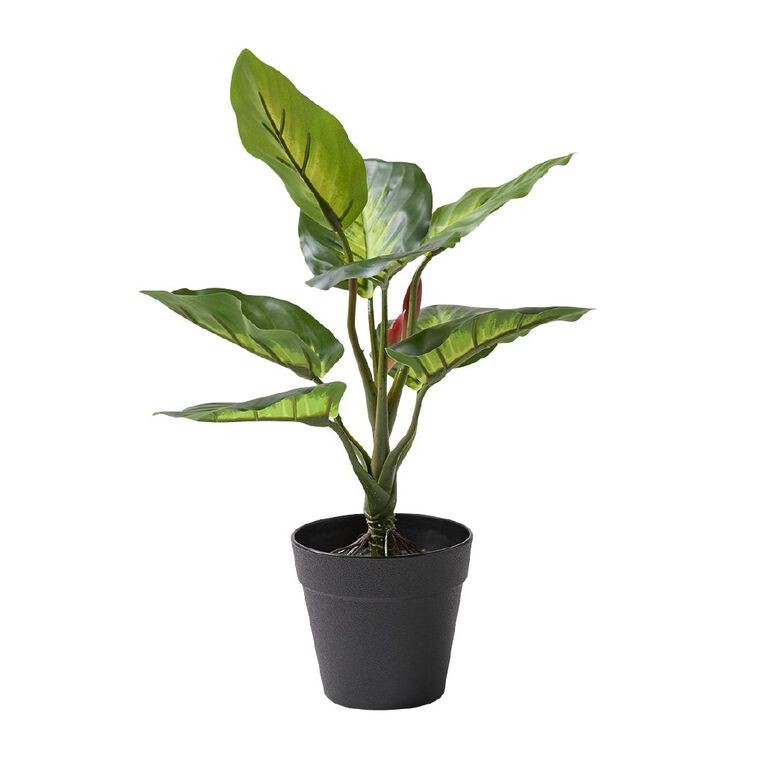 Living & Co Artificial Tropical Plant in Plastic Pot, , hi-res