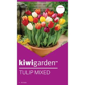 Kiwi Garden Tulip Mixed 10 bulbs