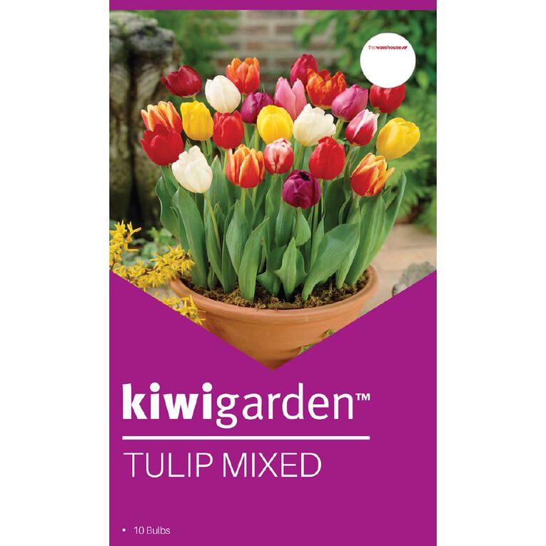 Kiwi Garden Tulip Mixed 10 bulbs, , hi-res