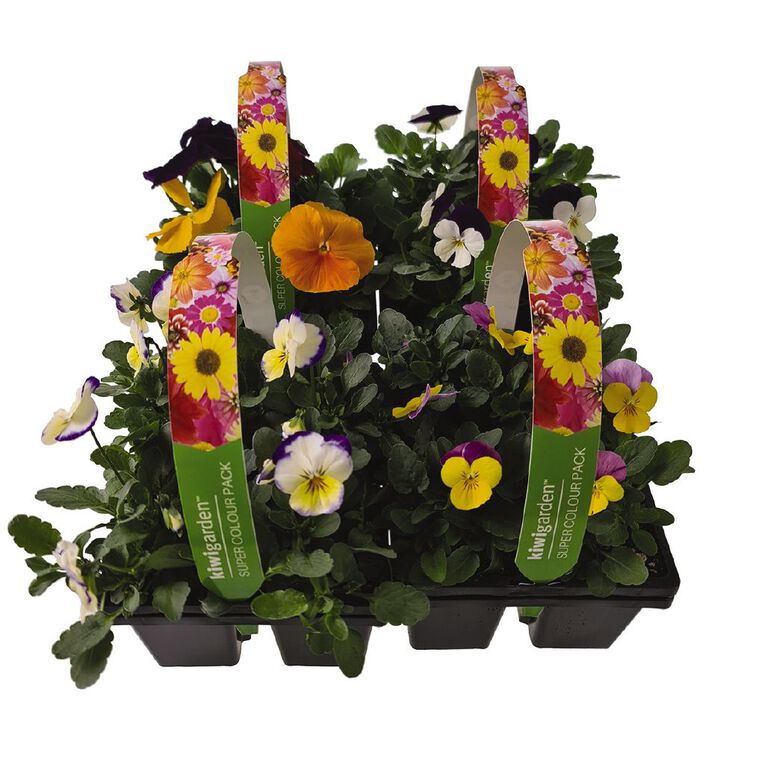 Super Colour 4 Pack, , hi-res