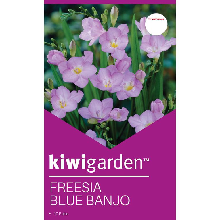 Kiwi Garden Freesia Blue Banjo 10PK, , hi-res