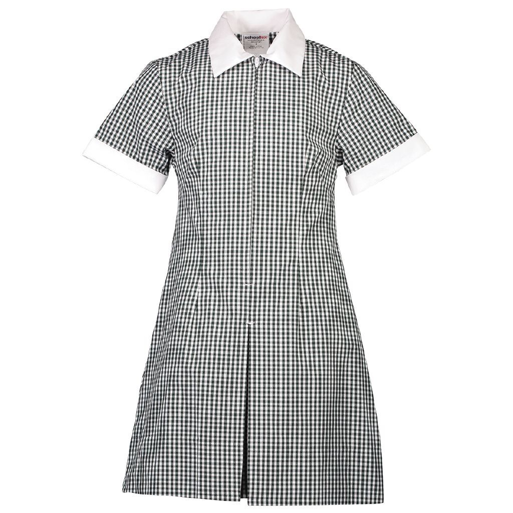 black gingham school dress