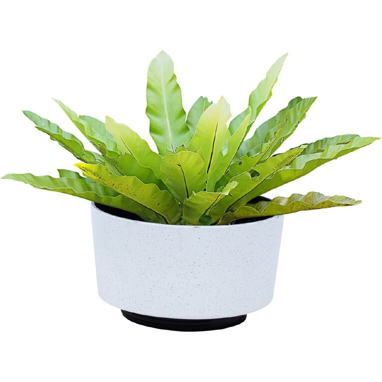 Kiwi Garden 2 in 1 Planter 36cm x 42cm Stone, , hi-res