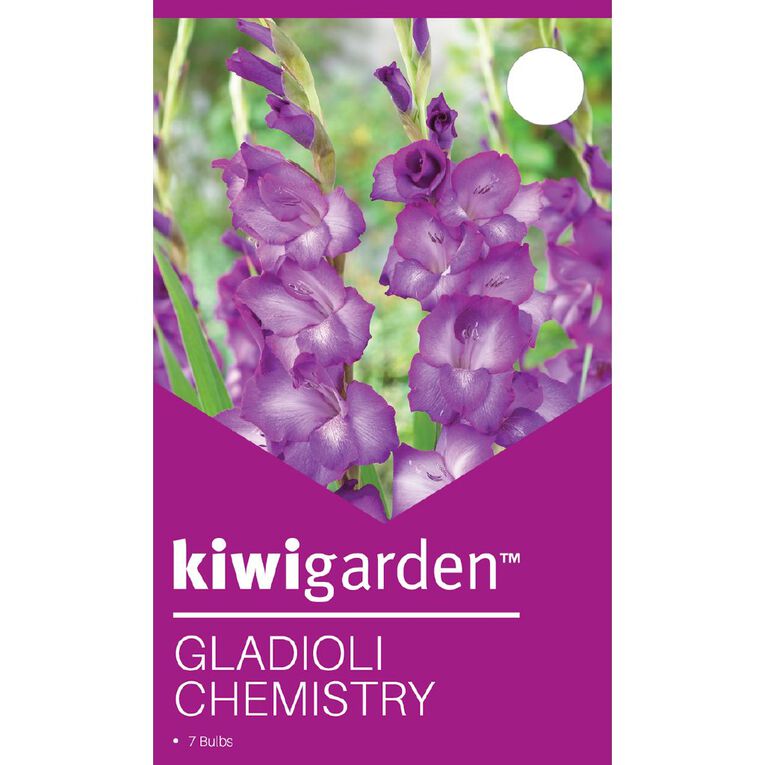 Kiwi Garden Gladioli Chemistry 7 Pack, , hi-res