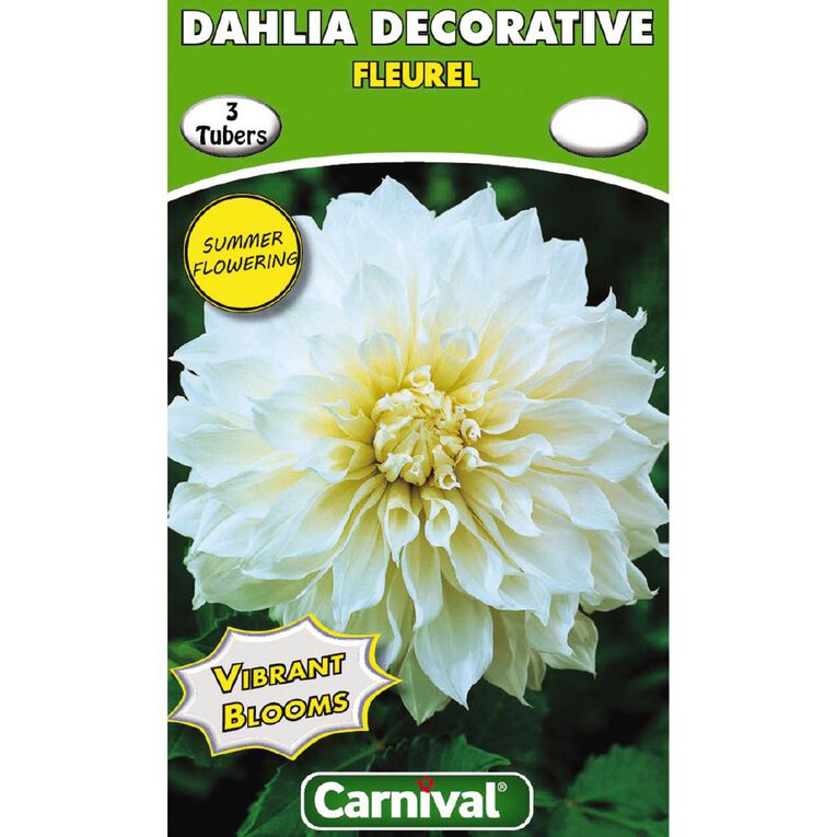 Kiwi Garden Dahlia Bulb Single Variety 3 Pack, , hi-res