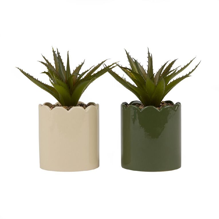 Living & Co Artificial Succulent Scallop Pot Green, , hi-res