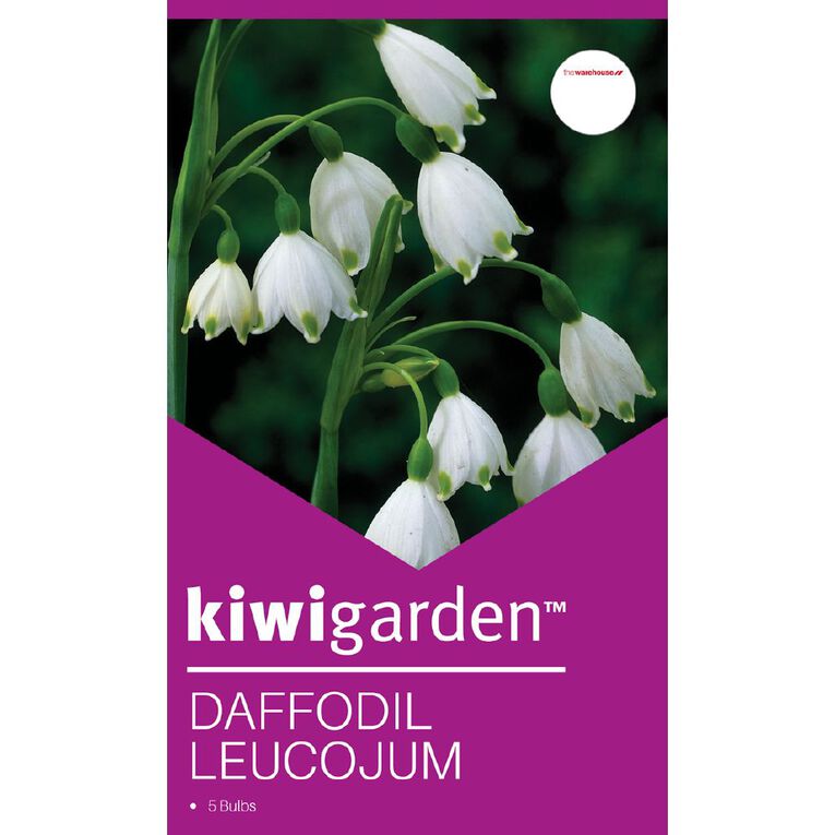 Kiwi Garden Daffodil Leucojum 5 bulbs, , hi-res