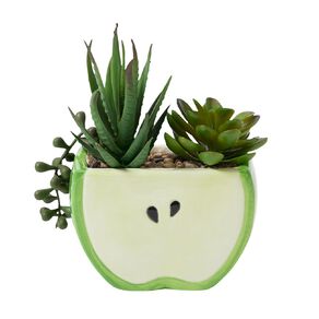 Living & Co NOVELTY APPLE ARTIF SUCCULENT
