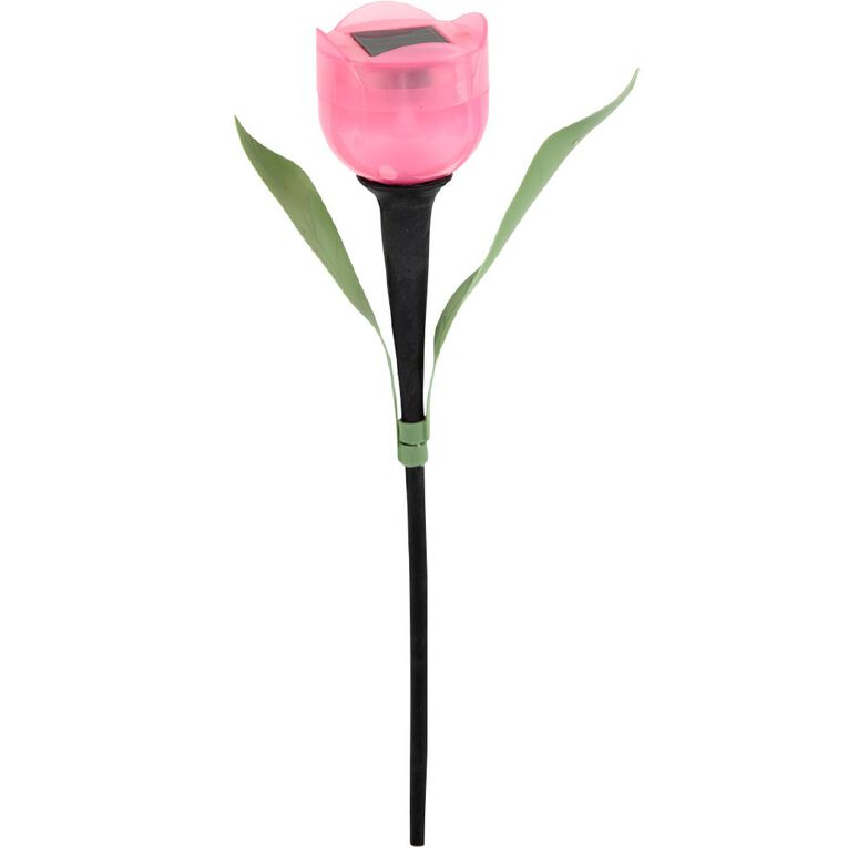 Kiwi Garden Tulip Light, , hi-res