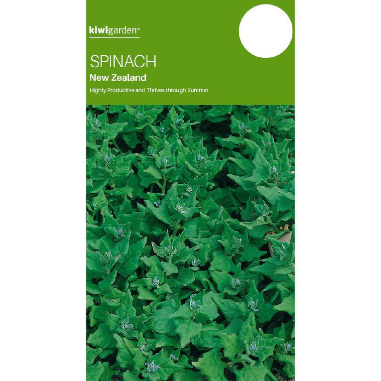 Kiwi Garden Spinach New Zealand Seeds, , hi-res