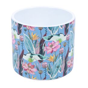 Kiwi Garden Indoor Pot 16cm x 16cm x 15.5cm Assorted
