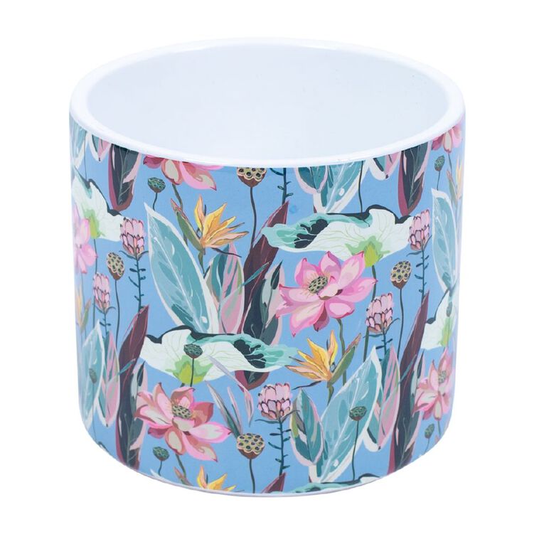 Kiwi Garden Indoor Pot 16cm x 16cm x 15.5cm Assorted, , hi-res
