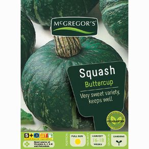 McGregor's Squash Buttercup Vegetable Seeds
