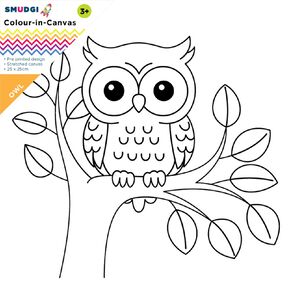 Jasart Smudgi Colour In Canvas Owl 25 x 25cm
