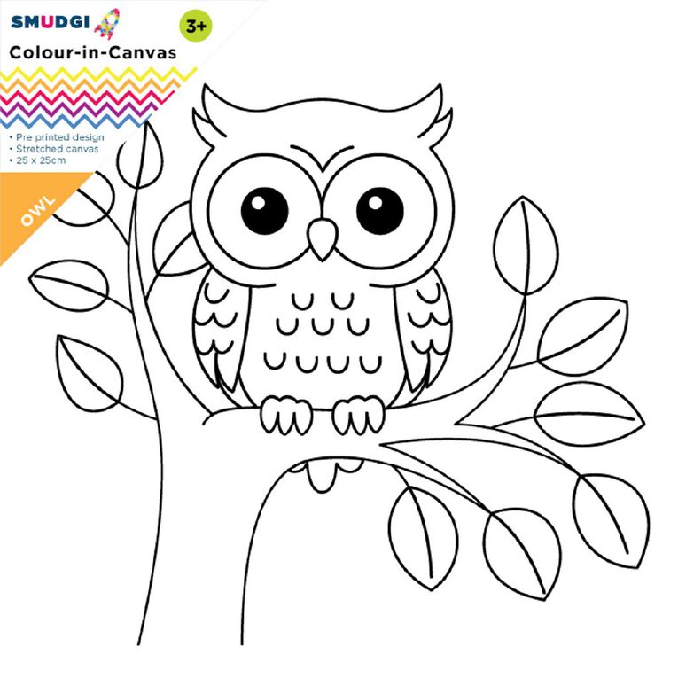 Jasart Smudgi Colour In Canvas Owl 25 x 25cm, , hi-res