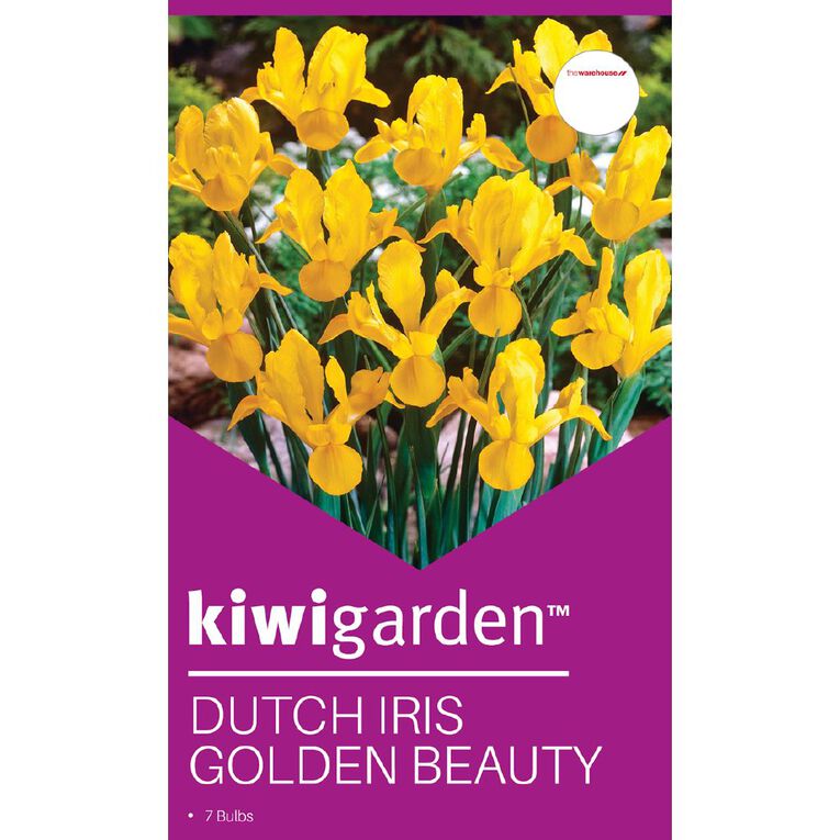Kiwi Garden Dutch Iris Golden Beauty 7 bulbs, , hi-res