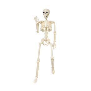 Scarehouse Skeleton Halloween Decoration 90cm