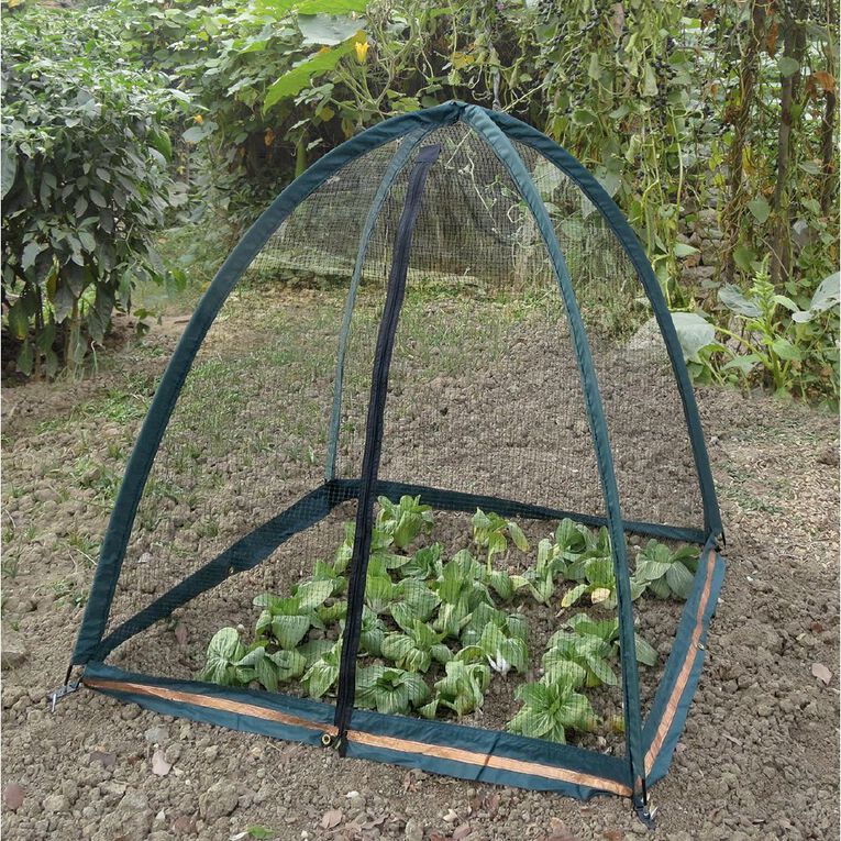 Kiwi Garden Mini Dome Cover, , hi-res