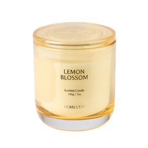Living & Co Homestay Lemon Blossom Candle 7oz