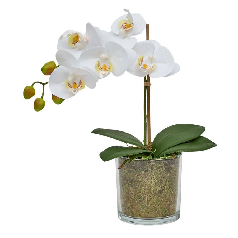 Botanica Artificial 30cm Orchid in Pot, , hi-res